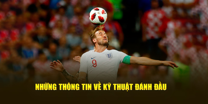 Bật Mí Về Những Kỹ Thuật Đánh Đầu Cho Thành Viên Cakhia TV 1 Những thông tin về kỹ thuật đánh đầu